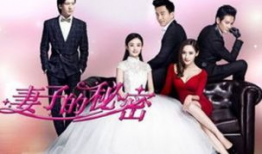 妻子的秘密电视剧,揭开婚姻背后的惊人真相