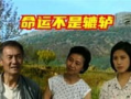 辘轳女人和井电视剧,探寻民间生活的诗意与坚韧