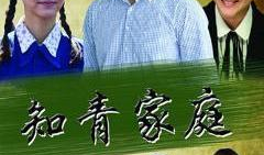 知青家庭电视剧,知青家庭的青春岁月