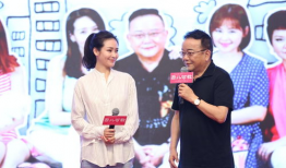 王静主演电视剧,情感纠葛与成长蜕变
