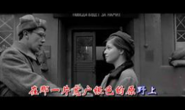 中央卫视91套直播,精彩内容，实时呈现