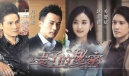 妻子的秘密电视剧,揭开婚姻背后的惊人真相