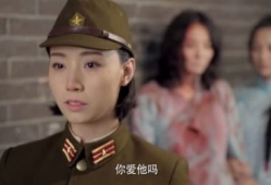 地下党电视剧大全,揭秘隐蔽战线的英勇故事