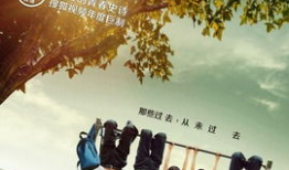 匆匆那年电视剧免费观看,重温青春记忆，共赴时光之旅