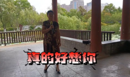 梦圆何方电视剧全集,探寻人生抉择与命运交织的传奇之旅