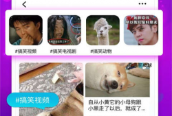 麻豆 磁力,揭秘神秘磁力世界的科技魅力