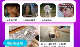 麻豆 磁力,揭秘神秘磁力世界的科技魅力
