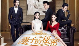 妻子的秘密电视剧,揭开婚姻背后的惊人真相