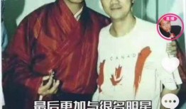 娱乐记者吃瓜记,记者吃瓜记背后的故事