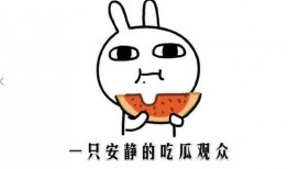 吃瓜事件,揭秘娱乐圈背后的真相与争议