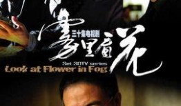 雾里看花电视剧,揭开神秘面纱的悬疑之旅