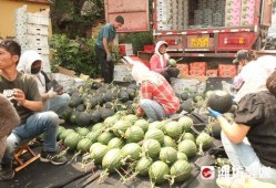 湖南娱乐吃瓜在一线,揭秘娱乐圈背后的故事