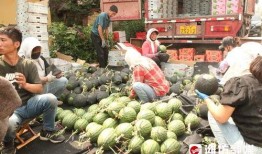 湖南娱乐吃瓜在一线,揭秘娱乐圈背后的故事