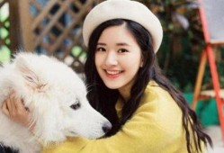 娱乐圈吃瓜元素表赵露思,娱乐圈吃瓜界的“瓜王”