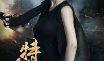 特战王妃电视剧,烽火柔情，战地玫瑰传奇