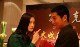 雾里看花电视剧,揭开神秘面纱的悬疑之旅