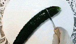 微信吃瓜表情包gif