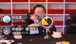 91什么总直播,揭秘直播行业背后的精彩瞬间