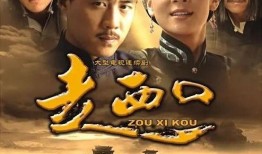 电视剧走西口演员表,实力派明星齐聚演绎传奇人生