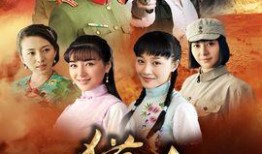 1 电视剧,穿越时空的传奇之旅