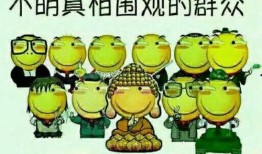 聊娱乐的吃瓜群众能力,吃瓜群众如何成为幕后推手